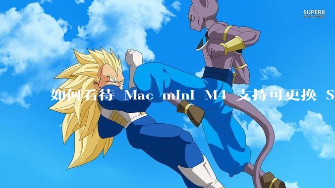 如何看待 Mac mini M4 支持可更换 SSD？